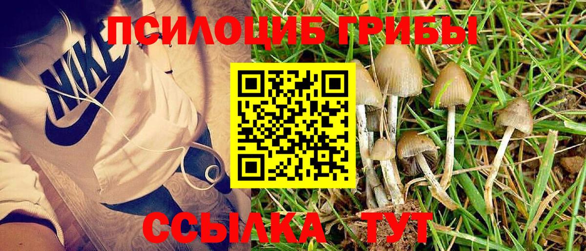 Галлюциногенные грибы Cubensis  Галлюциногенные грибы MAGIC MUSHROOMS  Реж  Вход с VPN 